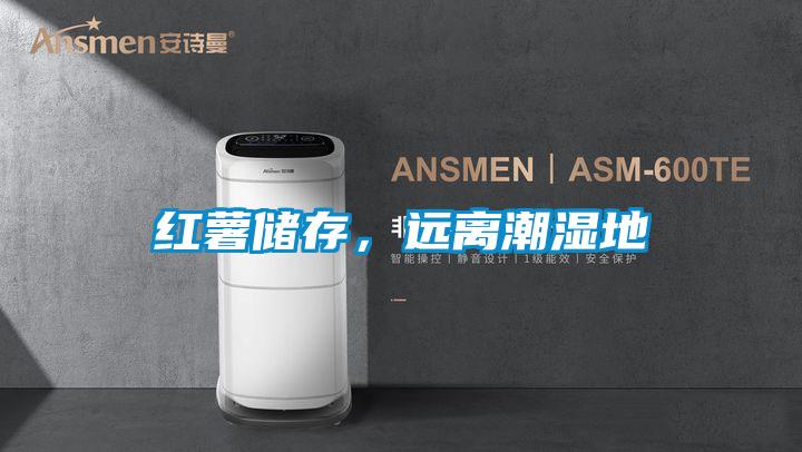 红薯储存，远离潮湿地