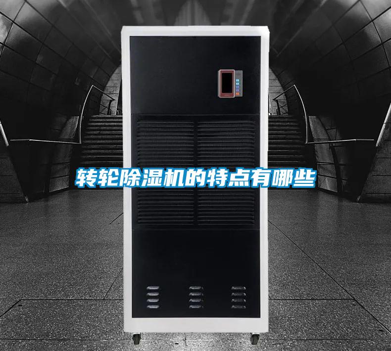 转轮茄子视频懂你更多在线观看的特点有哪些