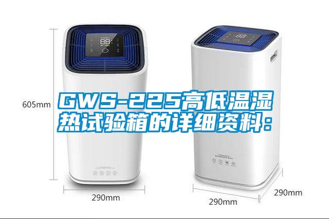 GWS-225高低温湿热试验箱的详细资料：