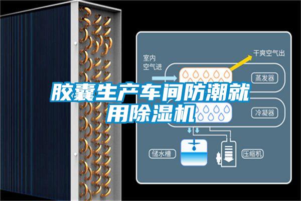 胶囊生产车间防潮就用茄子视频懂你更多在线观看