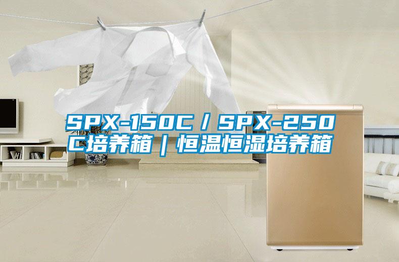 SPX-150C/SPX-250C培养箱|恒温恒湿培养箱