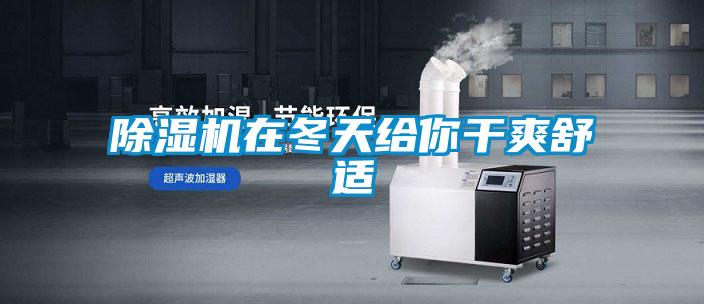 茄子视频懂你更多在线观看在冬天给你干爽舒适