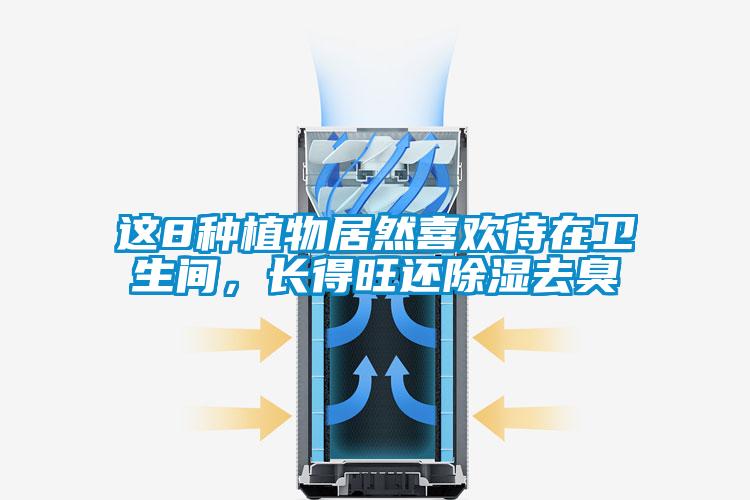 这8种植物居然喜欢待在卫生间，长得旺还除湿去臭