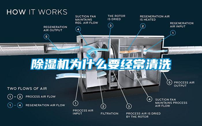 茄子视频懂你更多在线观看为什么要经常清洗