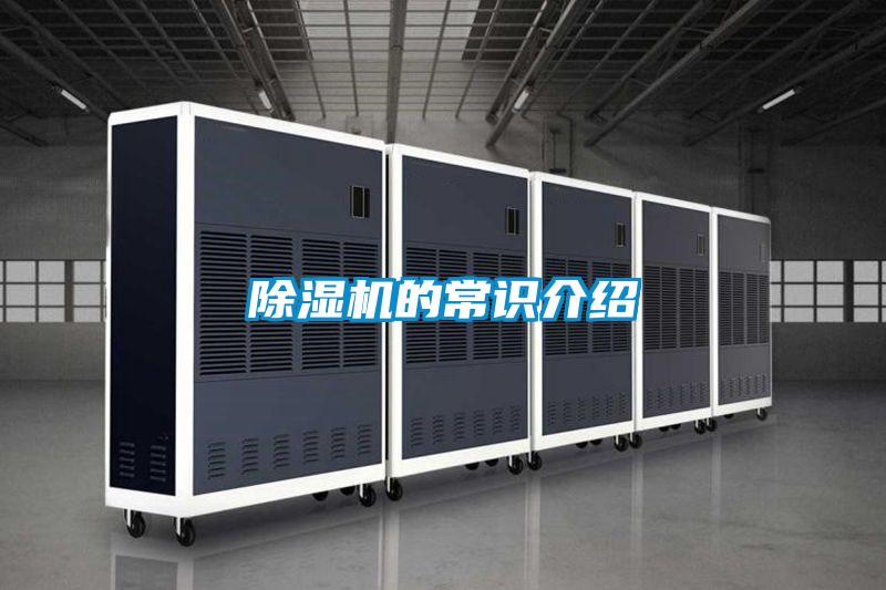 茄子视频懂你更多在线观看的常识介绍