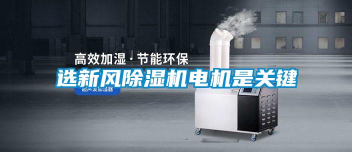 选新风茄子视频懂你更多在线观看电机是关键