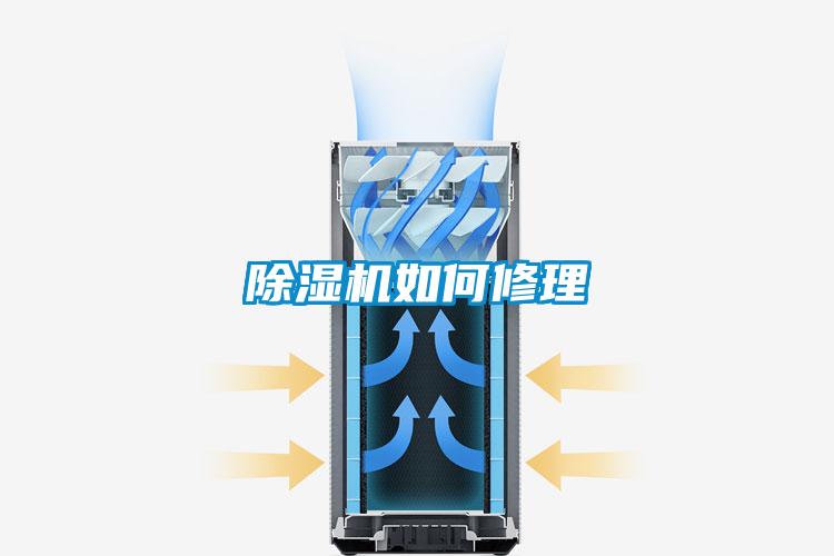 茄子视频懂你更多在线观看如何修理