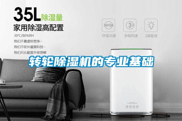转轮茄子视频懂你更多在线观看的专业基础