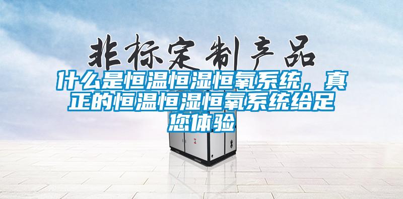 什么是恒温恒湿恒氧系统，真正的恒温恒湿恒氧系统给足您体验