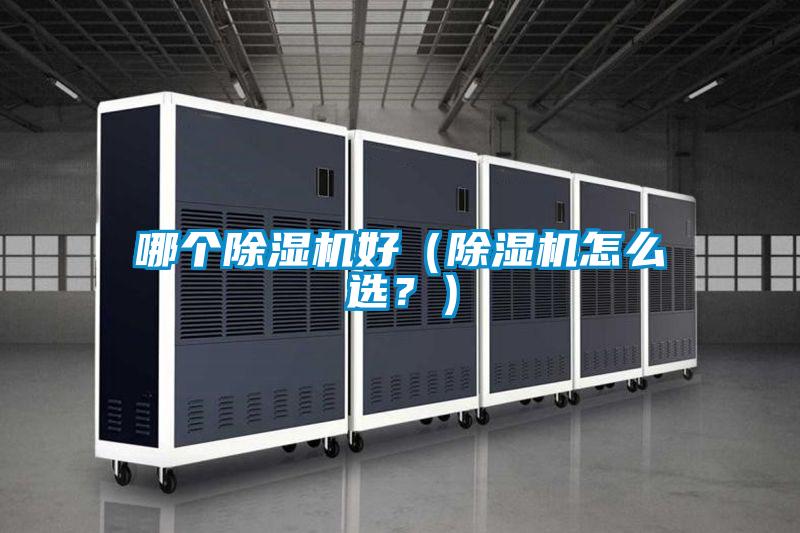 哪个茄子视频懂你更多在线观看好（茄子视频懂你更多在线观看怎么选？）