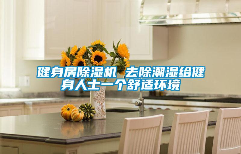 健身房茄子视频懂你更多在线观看 去除潮湿给健身人士一个舒适环境