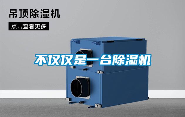 不仅仅是一台茄子视频懂你更多在线观看