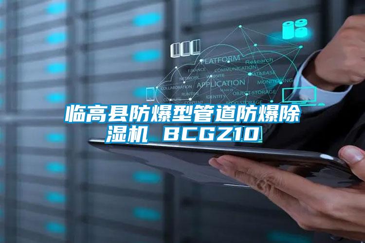 临高县防爆型管道防爆茄子视频懂你更多在线观看 BCGZ10