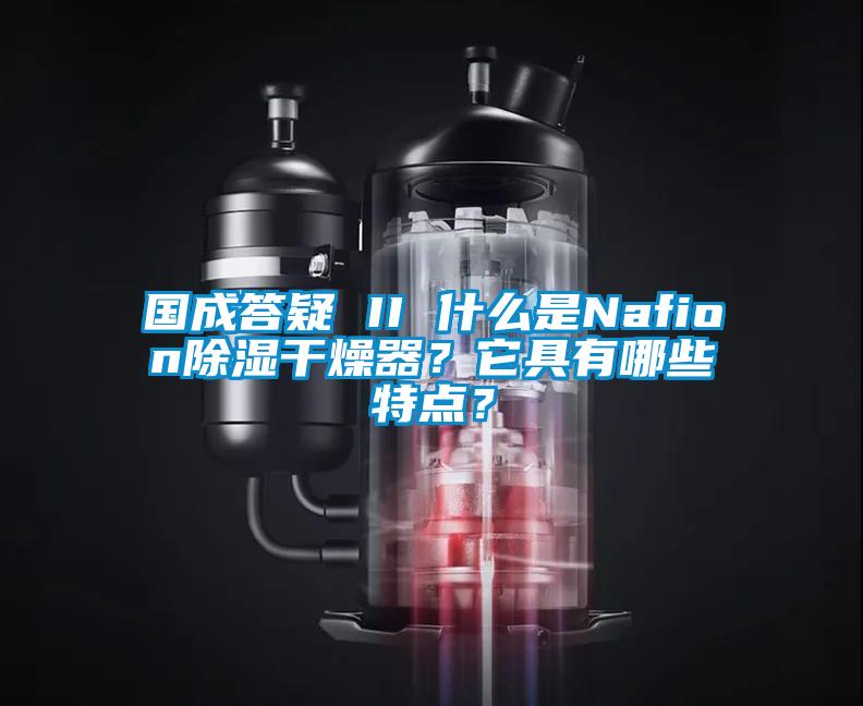 国成答疑 II 什么是Nafion除湿干燥器？它具有哪些特点？