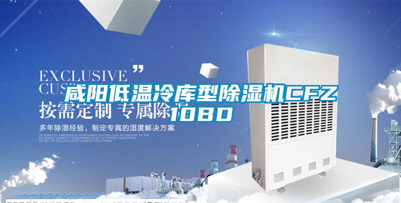 咸阳低温冷库型茄子视频懂你更多在线观看CFZ10BD