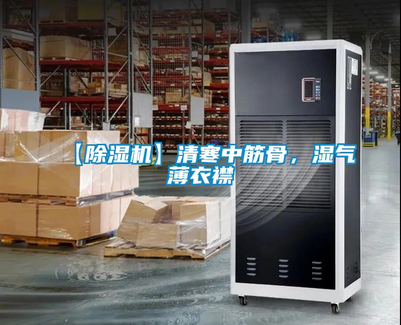 【茄子视频懂你更多在线观看】清寒中筋骨，湿气薄衣襟