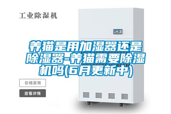 养猫是用加湿器还是除湿器-养猫需要茄子视频懂你更多在线观看吗(6月更新中)