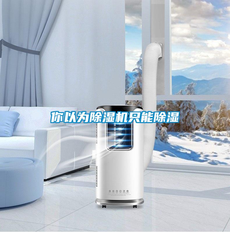 你以为茄子视频懂你更多在线观看只能除湿