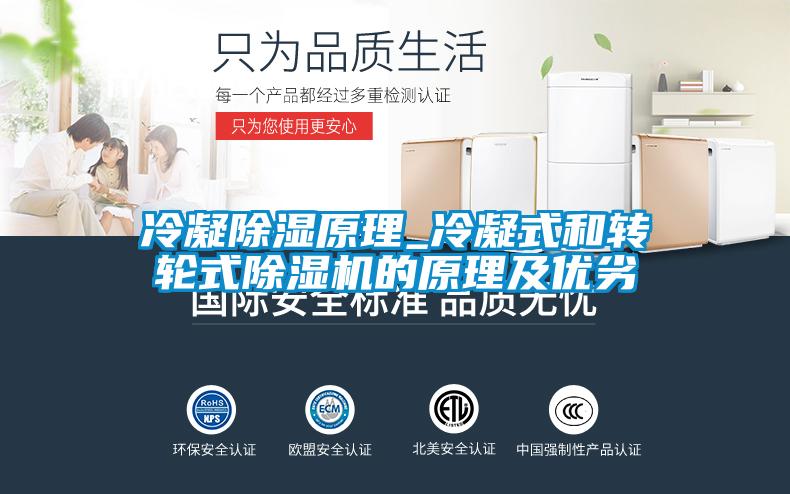 冷凝除湿原理_冷凝式和转轮式茄子视频懂你更多在线观看的原理及优劣
