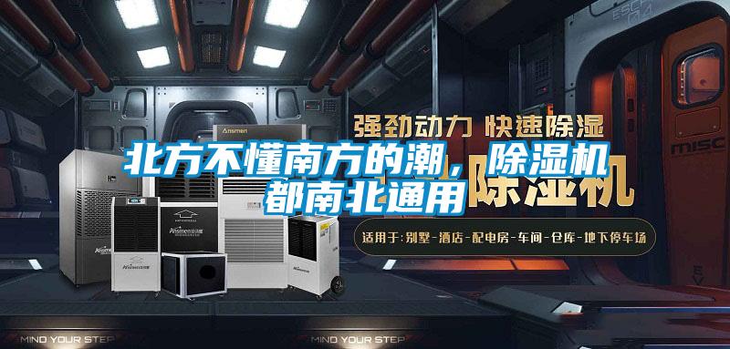 北方不懂南方的潮，茄子视频懂你更多在线观看都南北通用