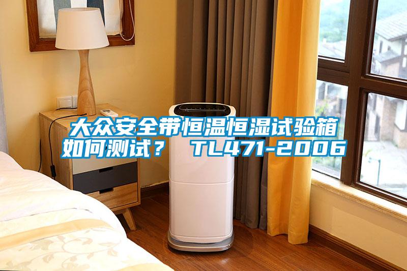 大众安全带恒温恒湿试验箱如何测试？ TL471-2006