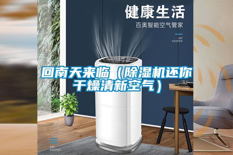 回南天来临(茄子视频懂你更多在线观看还你干燥清新空气)