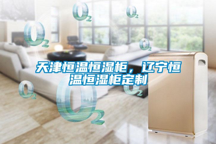 天津恒温恒湿柜，辽宁恒温恒湿柜定制