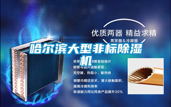 哈尔滨大型非标茄子视频懂你更多在线观看