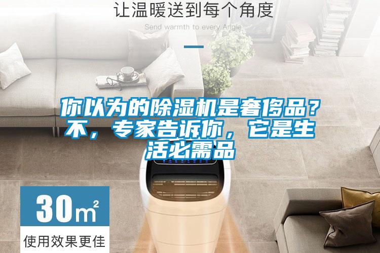 你以为的茄子视频懂你更多在线观看是奢侈品？不，专家告诉你，它是生活必需品