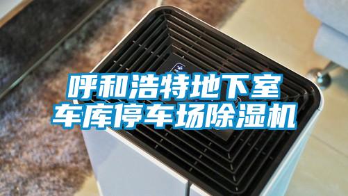 呼和浩特地下室车库停车场茄子视频懂你更多在线观看