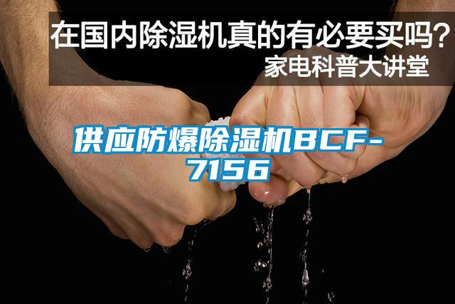 供应防爆茄子视频懂你更多在线观看BCF-7156