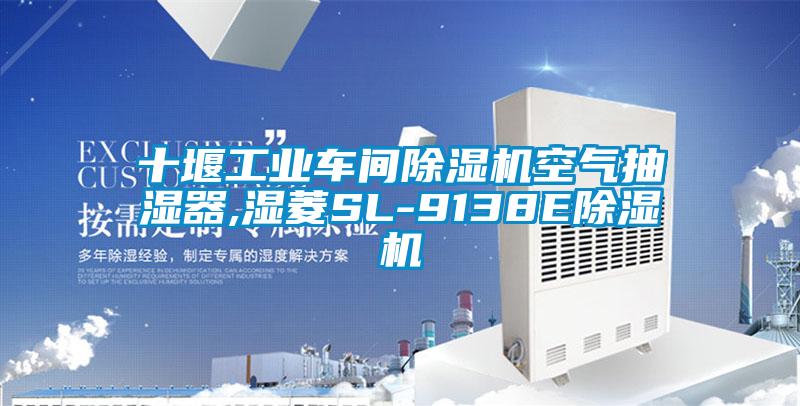 十堰工业车间茄子视频懂你更多在线观看空气抽湿器,湿菱SL-9138E茄子视频懂你更多在线观看