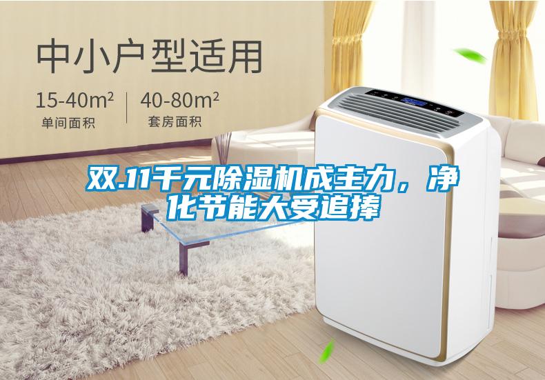 双.11千元茄子视频懂你更多在线观看成主力，净化节能大受追捧