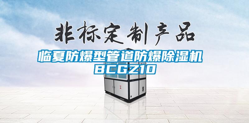 临夏防爆型管道防爆茄子视频懂你更多在线观看 BCGZ10