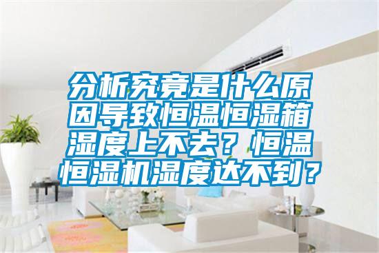 分析究竟是什么原因导致恒温恒湿箱湿度上不去？恒温恒湿机湿度达不到？