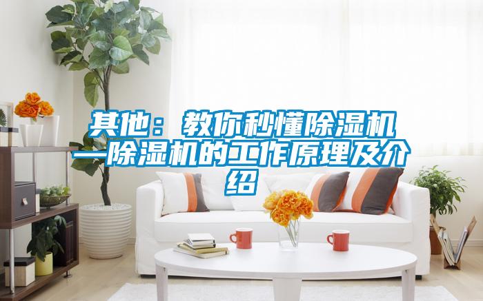 其他：教你秒懂茄子视频懂你更多在线观看—茄子视频懂你更多在线观看的工作原理及介绍