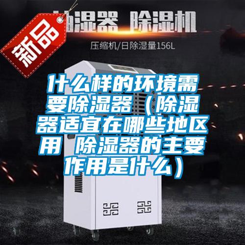 什么样的环境需要除湿器（除湿器适宜在哪些地区用 除湿器的主要作用是什么）