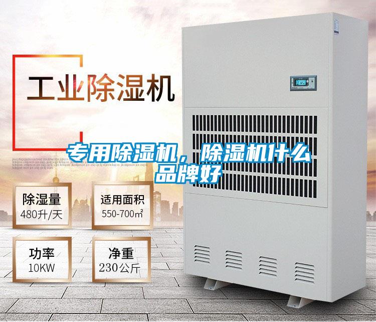 专用茄子视频懂你更多在线观看，茄子视频懂你更多在线观看什么品牌好