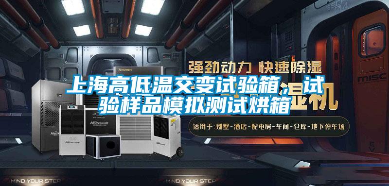 上海高低温交变试验箱，试验样品模拟测试烘箱