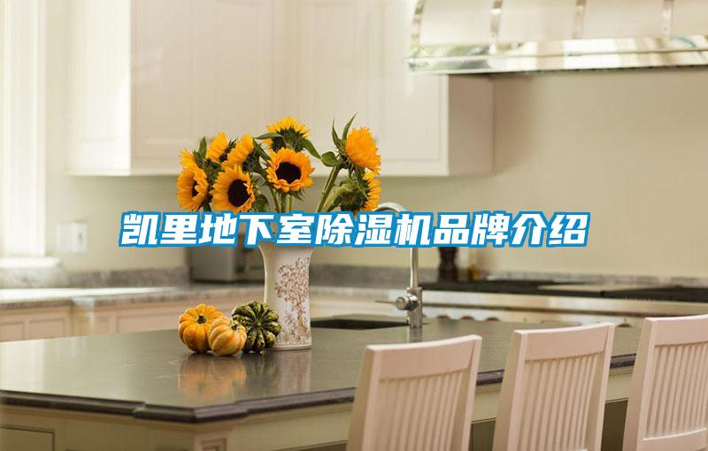 凯里地下室茄子视频懂你更多在线观看品牌介绍