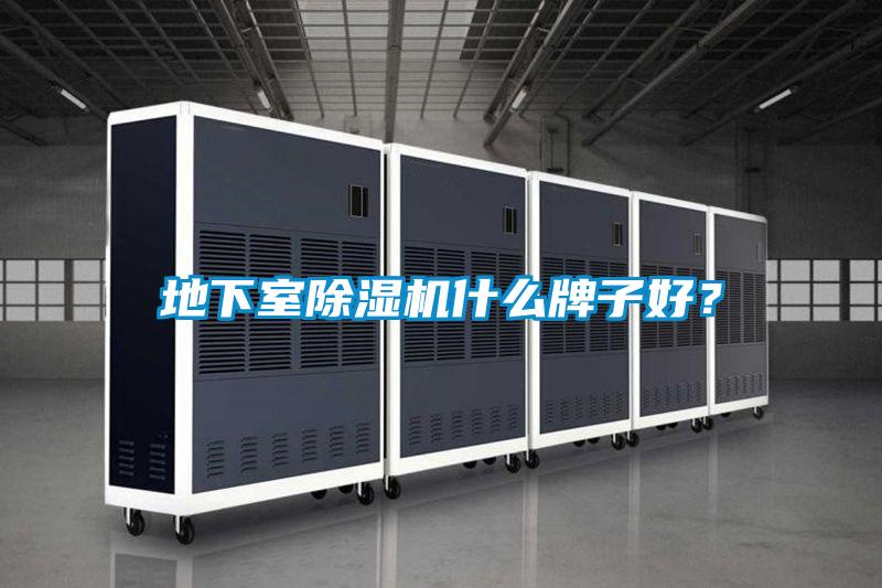 地下室茄子视频懂你更多在线观看什么牌子好？