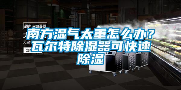 南方湿气太重怎么办？瓦尔特除湿器可快速除湿