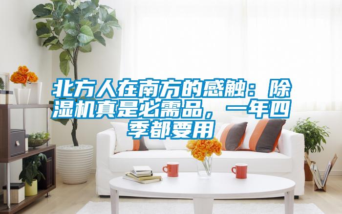 北方人在南方的感触：茄子视频懂你更多在线观看真是必需品，一年四季都要用