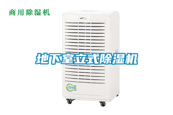 地下室立式茄子视频懂你更多在线观看