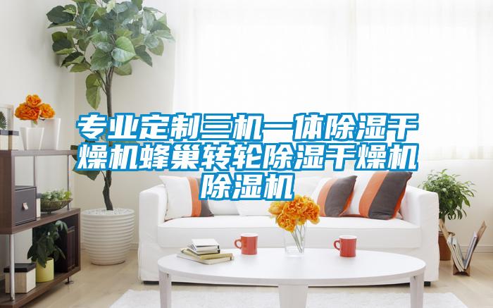 专业定制三机一体除湿干燥机蜂巢转轮除湿干燥机茄子视频懂你更多在线观看