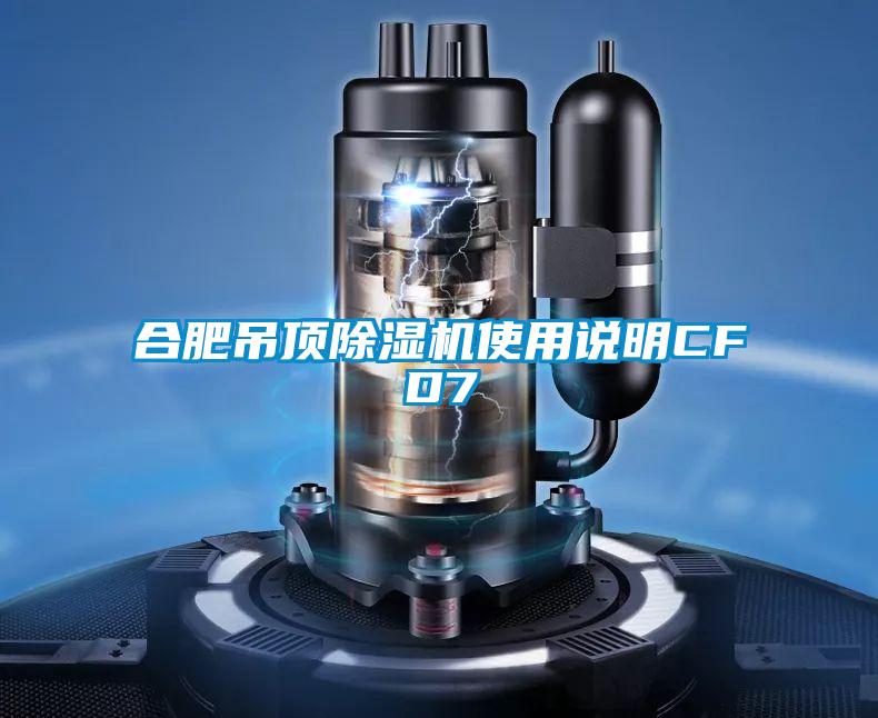 合肥吊顶茄子视频懂你更多在线观看使用说明CFD7