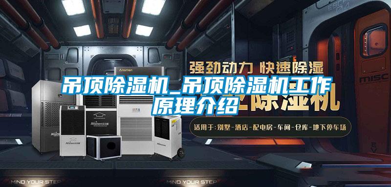 吊顶茄子视频懂你更多在线观看_吊顶茄子视频懂你更多在线观看工作原理介绍