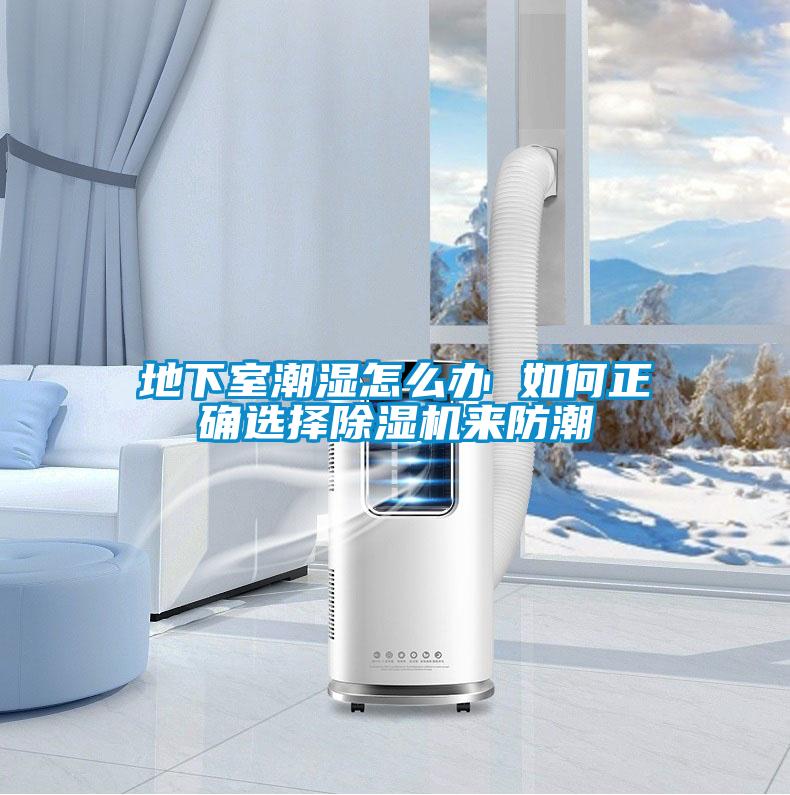 地下室潮湿怎么办 如何正确选择茄子视频懂你更多在线观看来防潮