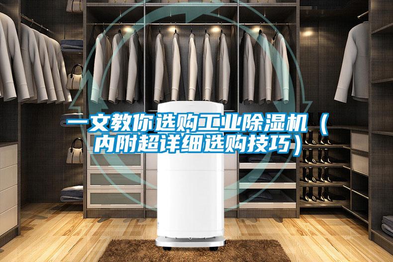 一文教你选购工业茄子视频懂你更多在线观看(内附超详细选购技巧)