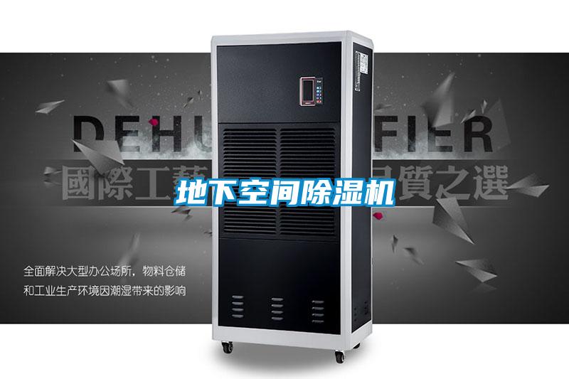 地下空间茄子视频懂你更多在线观看